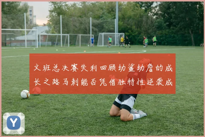 文班总决赛失利回顾幼鲨幼詹的成长之路马刺能否凭借独特性逆袭成功