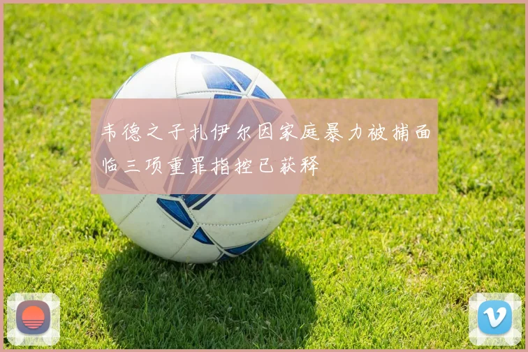 韦德之子扎伊尔因家庭暴力被捕面临三项重罪指控已获释